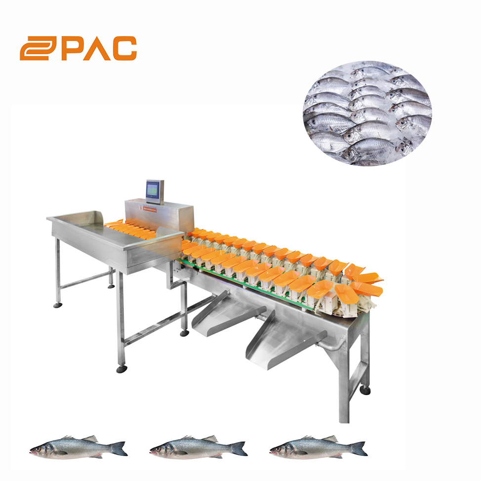 Carousel Multi-Weight Sorting Machine