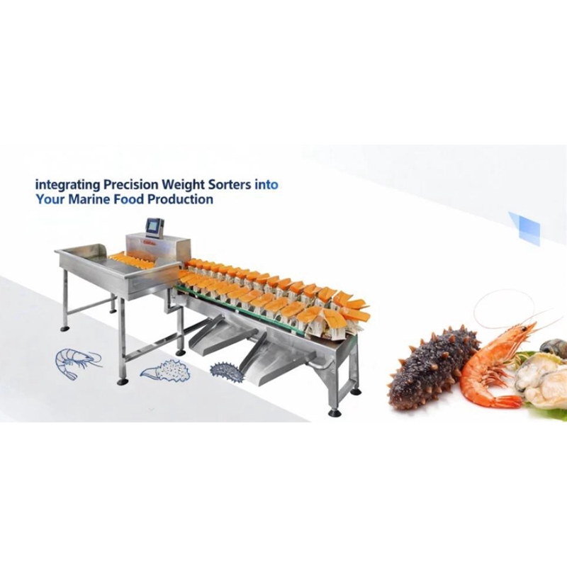 Integrating Precision Weight Sorters into Your Marine Food Production