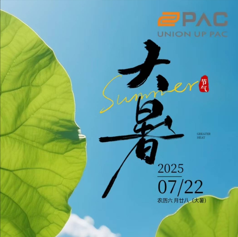 Great Heat, Greater Precision: How 20-Head Multihead Weigher Preserve China's Seasonal Flavors